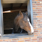 anky 019.JPG