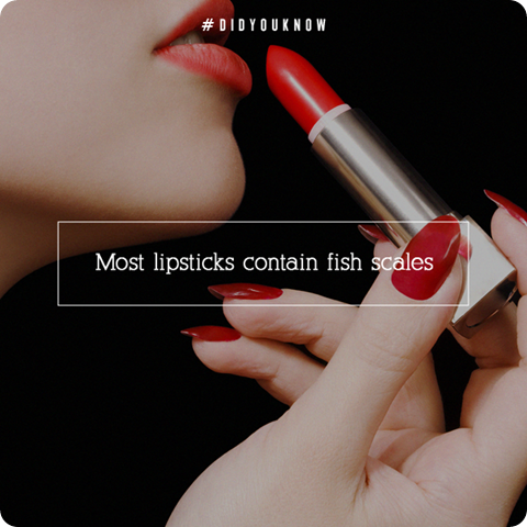 Lipstick secret ingredient