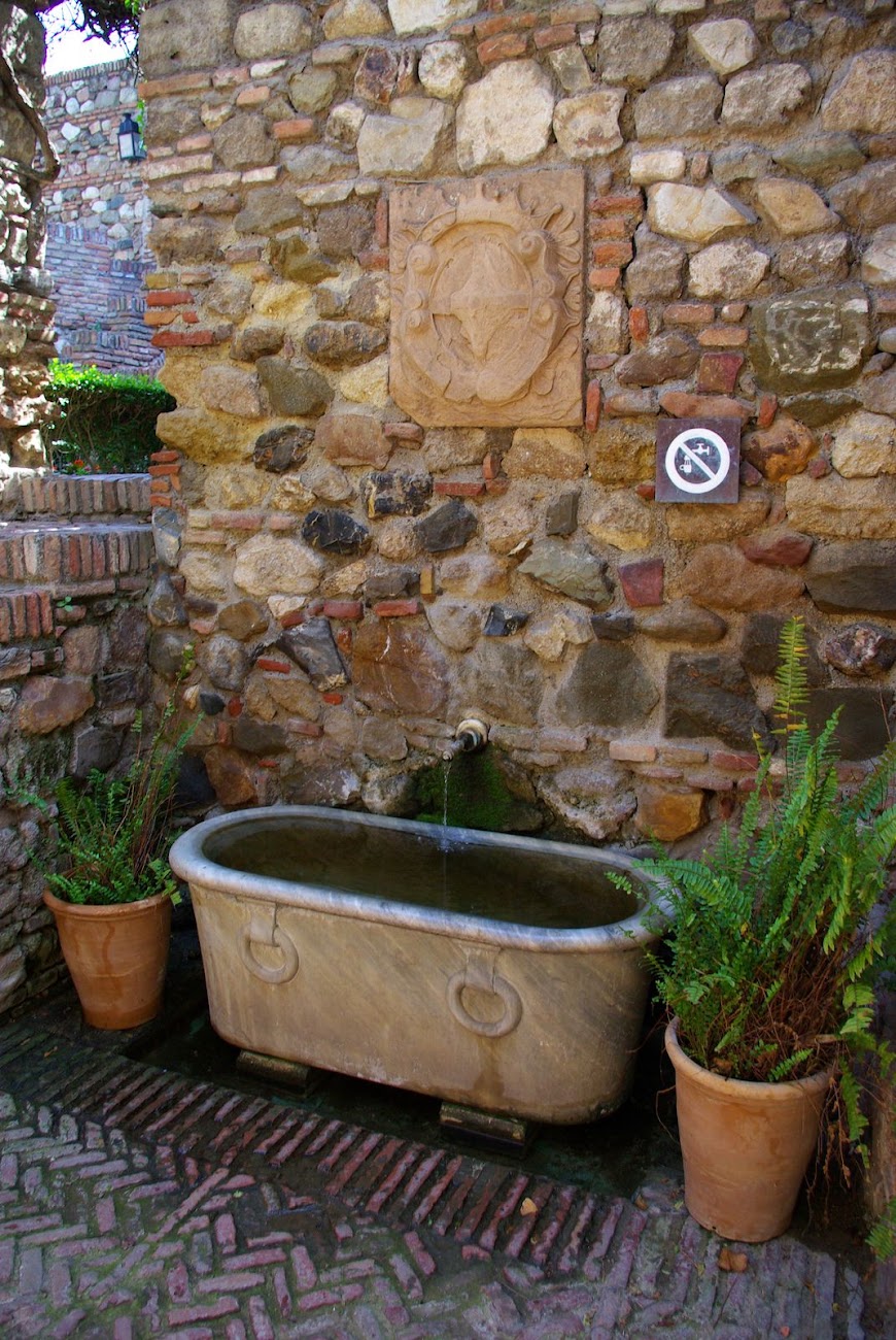 IMGP2602.JPG