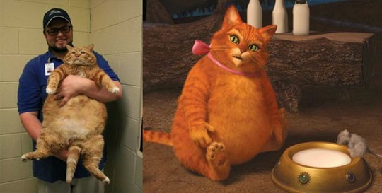 [viral-picdump-pics-25%255B2%255D.jpg]