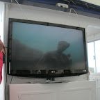 DSCN7347.JPG