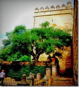 P1080528 P1080528