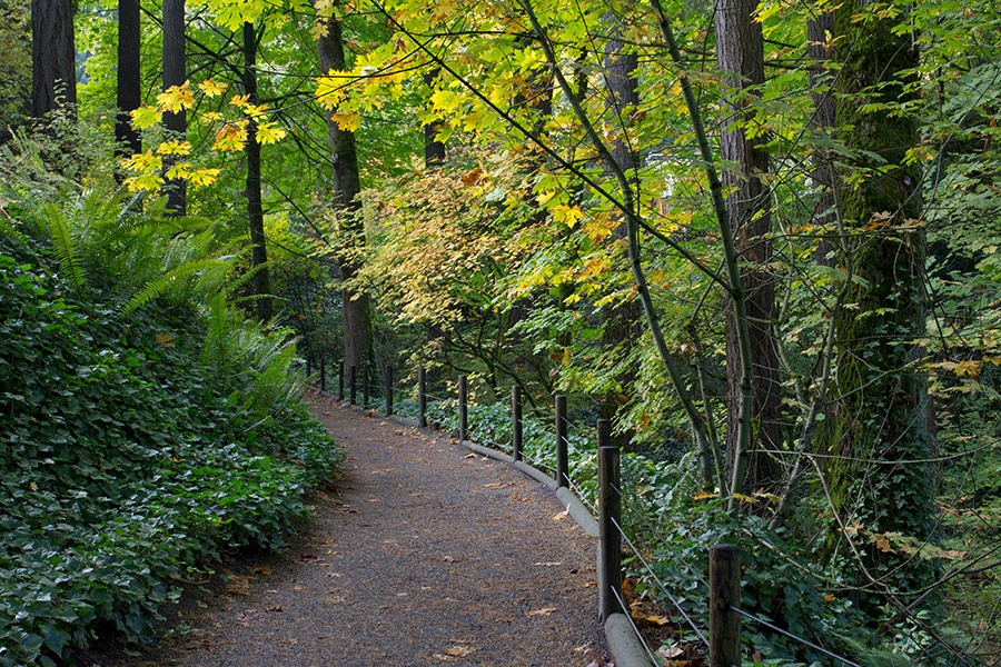 [111103_PJG_4562.jpg]
