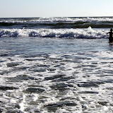 IMG_8463.JPG