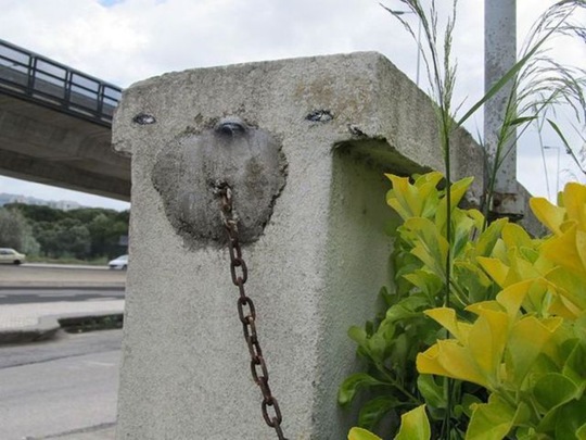 [viral-picdump-pics-29%255B2%255D.jpg]