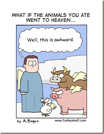 heaven paradise atheism god bible jesus humor (13)