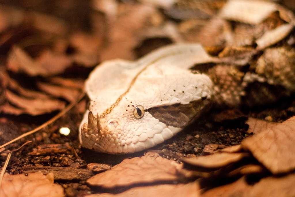 [20120818-IMG_90804.jpg]