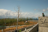 IMG_4547.JPG