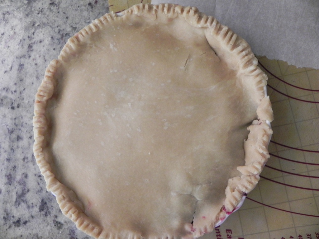 [DSCN0048%255B4%255D.jpg&description=Blueberry Limoncello Pie with Sourdough Crust')]