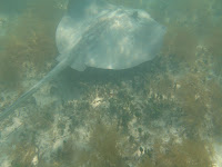 IMG_4580.jpg