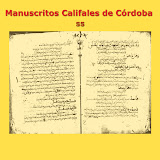 Manuscritos Califales (55)