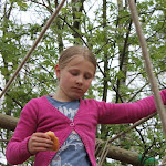 IMG_5423.JPG