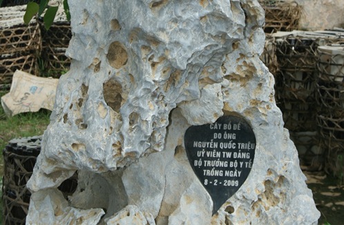 rac 7