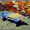 IMG_2133 copiaHDR.jpg