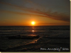 IMG_0079