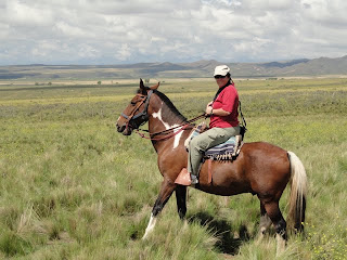BUT Marilyn's horse was named "Cara de Verga," yes that is DICKFACE in English. He was named this because he does not play well with others. We all that that was terribly appropriate for Marilyn, as she does not play well with others either. It was the best Pairing we made in Mendoza.