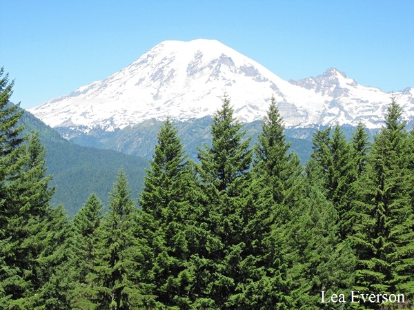 [Mt.%2520Rainier%25202%255B1%255D%255B4%255D.jpg]