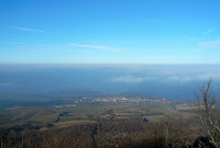 P1090679.jpg