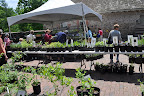 Visitors shop at the plant sale.