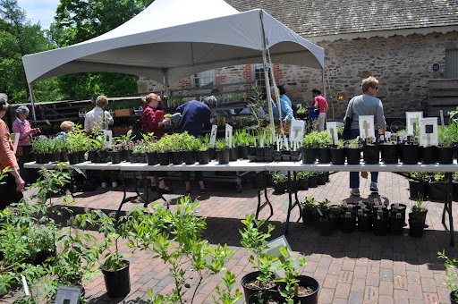 Visitors shop at the plant sale.