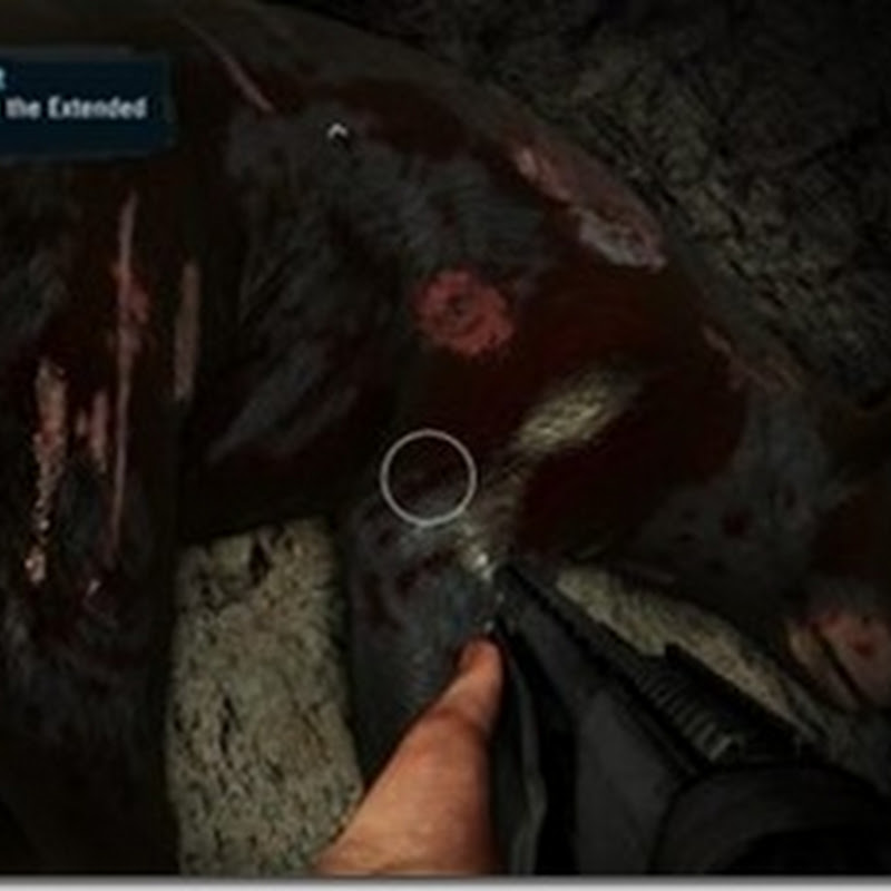 Gott sei Dank: Far Cry 3s Interface-Patch ist erschienen