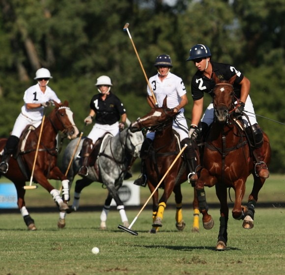 [polo2%255B4%255D.jpg]