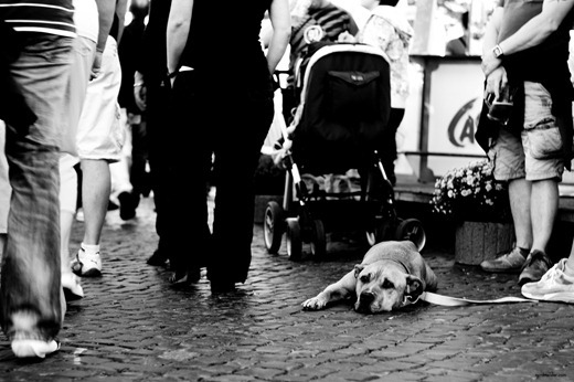 IMG_20111001_190322_8865