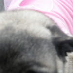 DSCN3436.jpg