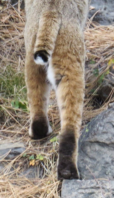 [Move%2520Away%2520CrystalHarling%255B4%255D.jpg]