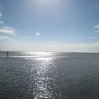 IMG_7151.JPG