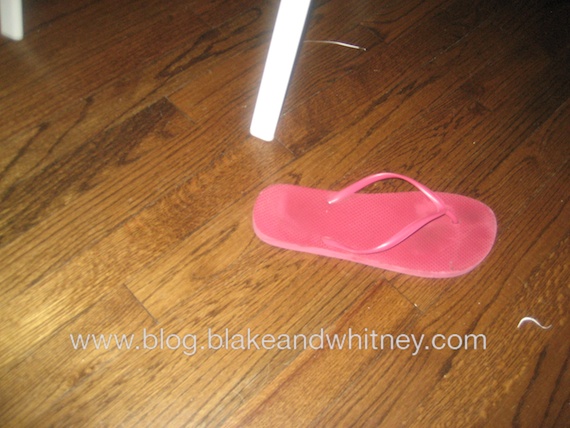 IMG_1836.jpg IMG 1836