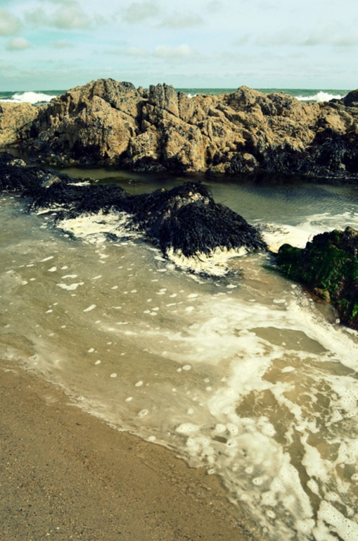 [DSC_0195-001%255B8%255D.jpg]