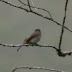 P1010773