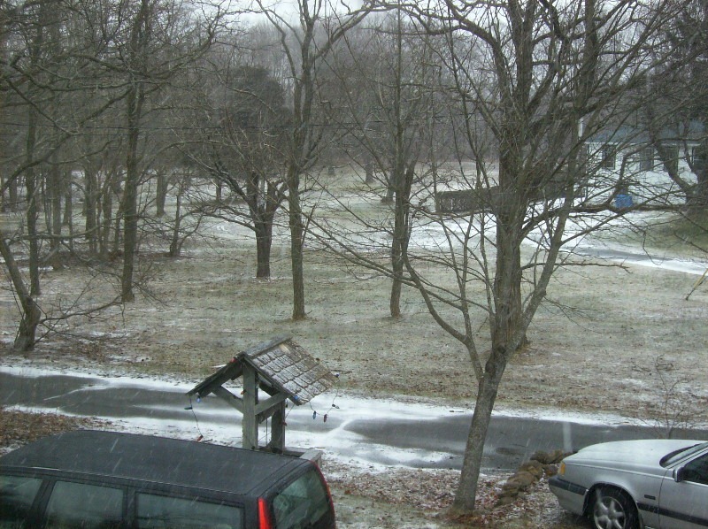 [storm_neighbors%255B4%255D.jpg]