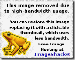 imageshackbandwidthexceeded_thumb2