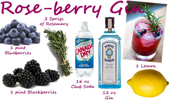 Roseberry Gin_edited-1