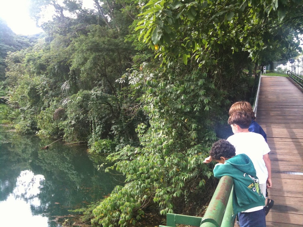 [parque%2520olhos%2520d%25C3%25A1gua%2520%25287%2529%255B4%255D.jpg]