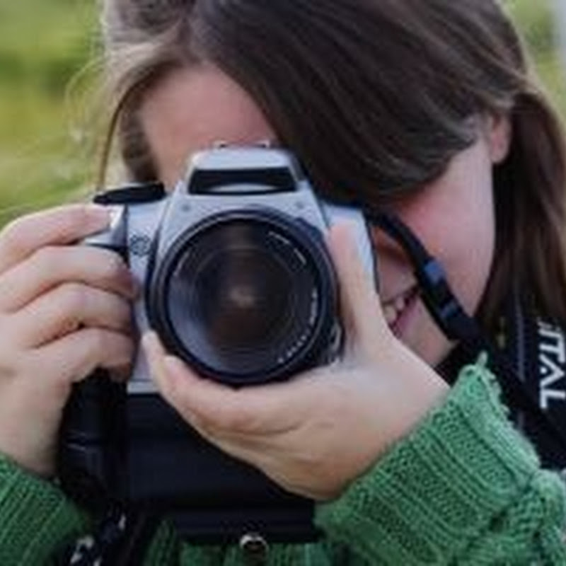 Why Digital SLR Cameras to Photograph Art?