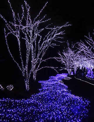 DSC01653 DSC01653