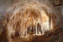 Carlsbad Cavern #1