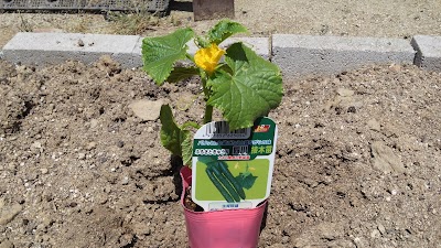 2014-05-04 12.55.12.jpg