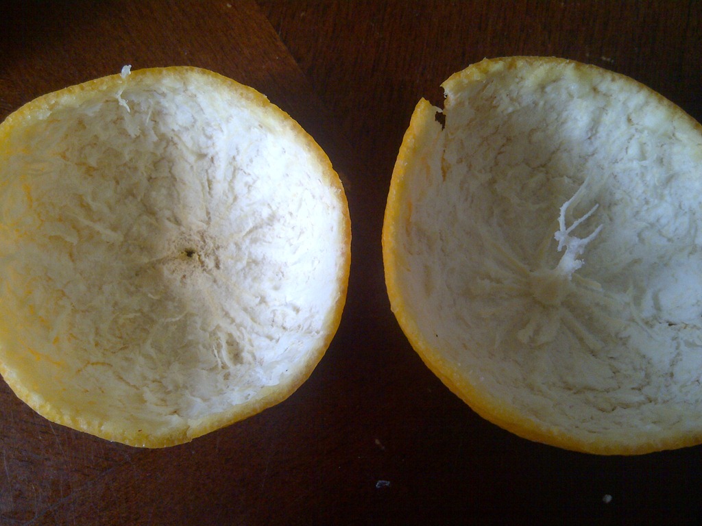 [IMG-20120714-07567%255B2%255D.jpg]