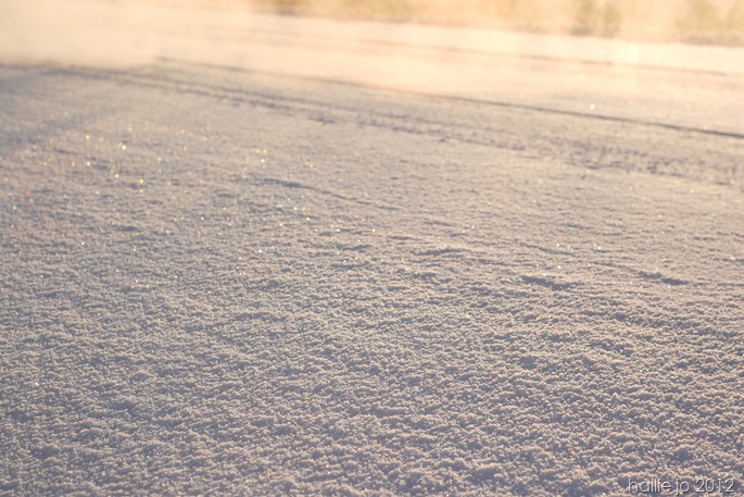 Cold48 Cold48