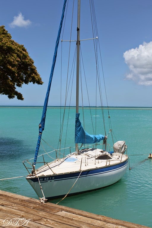 [Hawaii%2520day%25202%2520120%255B7%255D.jpg]