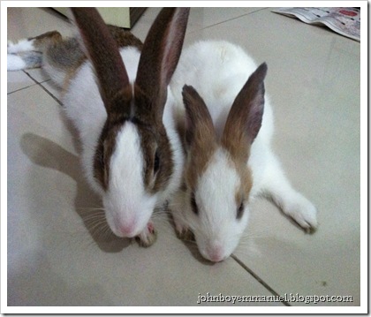 2012.01.09_iPhone 268