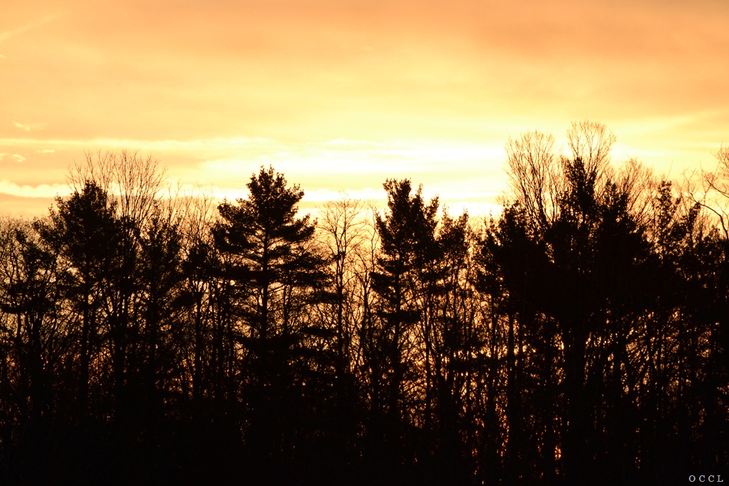 [DSC_4282%255B3%255D.jpg]