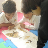 DSC06079.JPG
