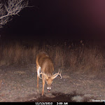 Cdy00132.JPG