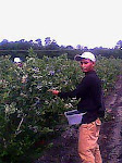 IMG0021A.jpg
