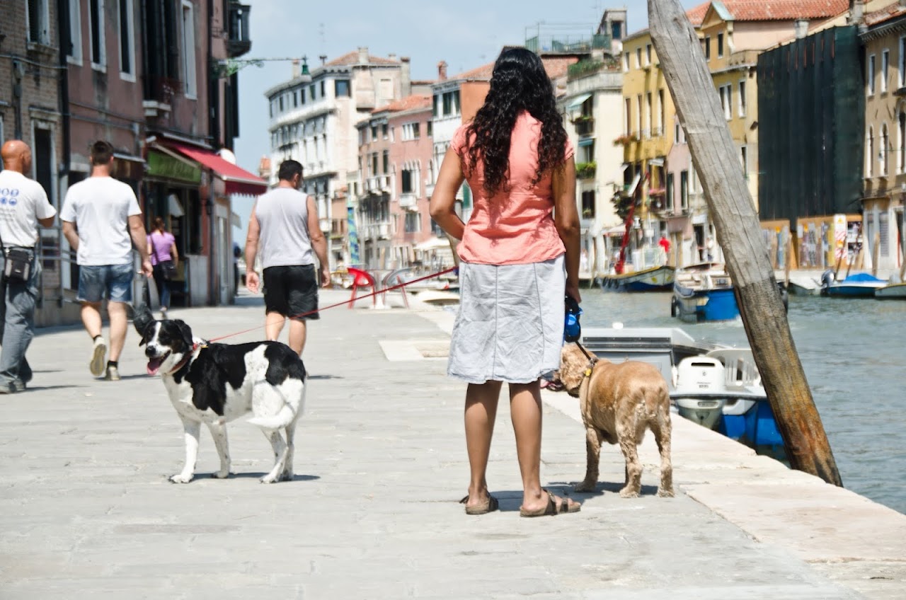 Chewy and Abby in Venice